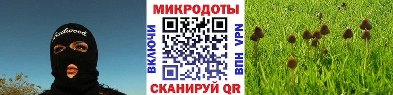 Псилоцибиновые грибы Magic Shrooms  kraken зеркало  Раменское 
